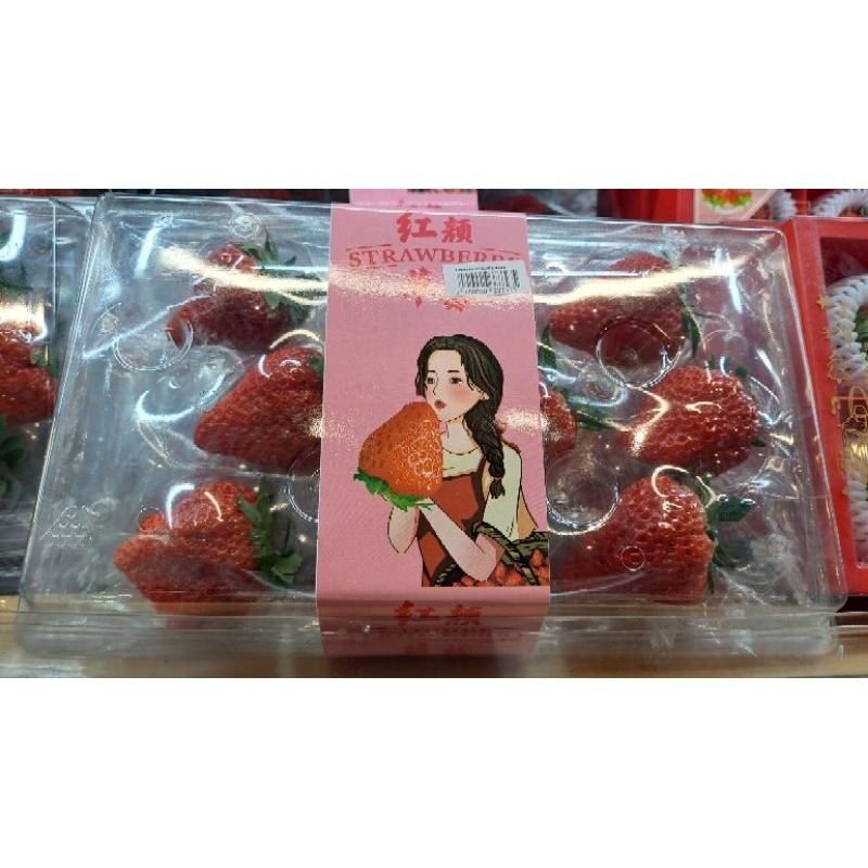 

Strawberry Merah Super Jumbo Latern / Pack