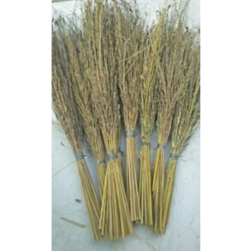 Jerami ketan hitam / merang ketan hitam perikat-az