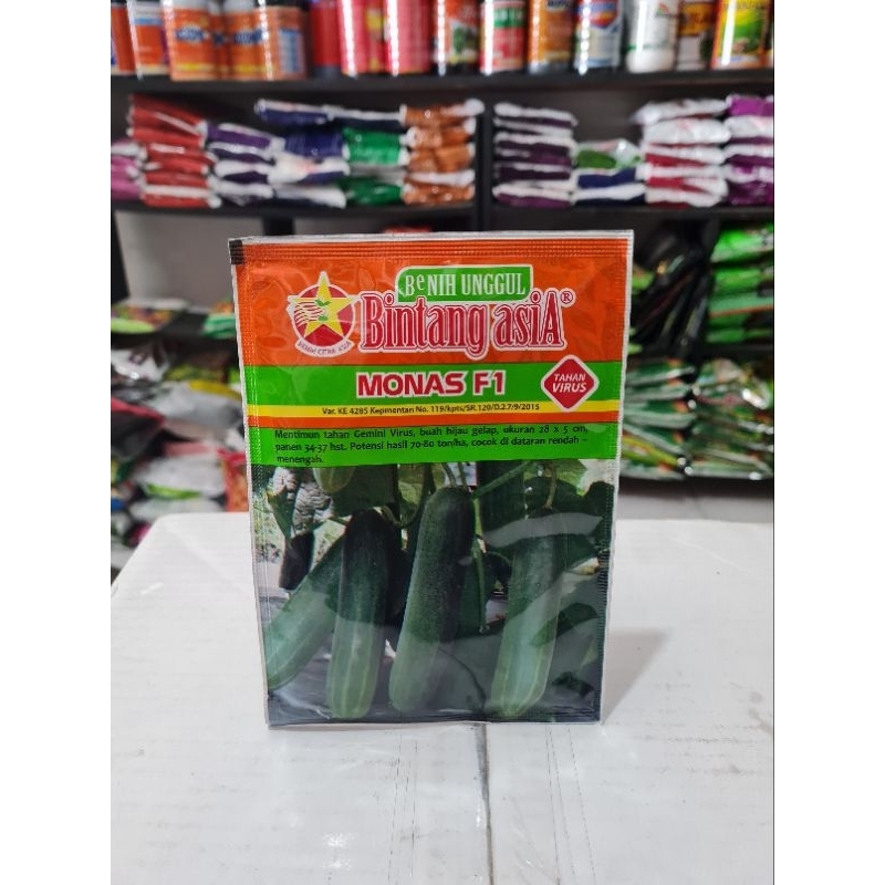 Benih Timun Monas F1