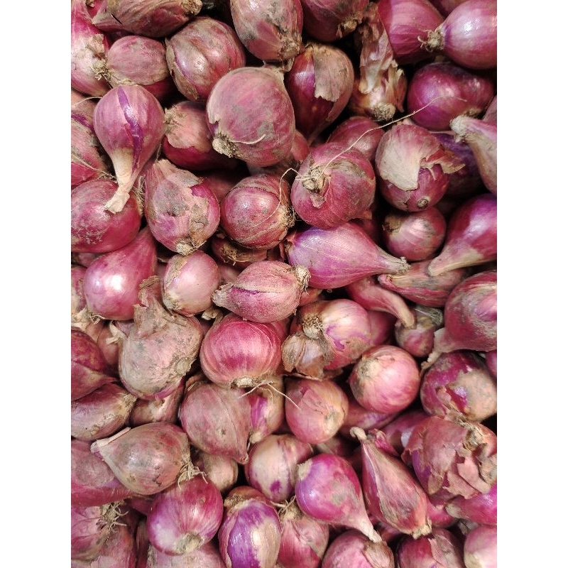 

bawang merah berebes 1kg