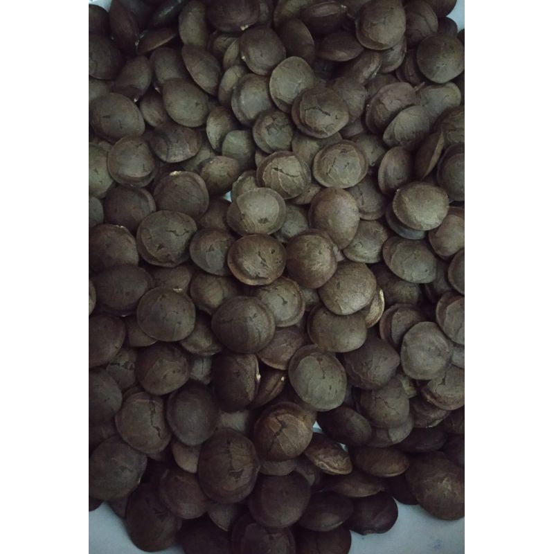 

Biji Sacha inchi coklat.1000gr(bukan bibit)