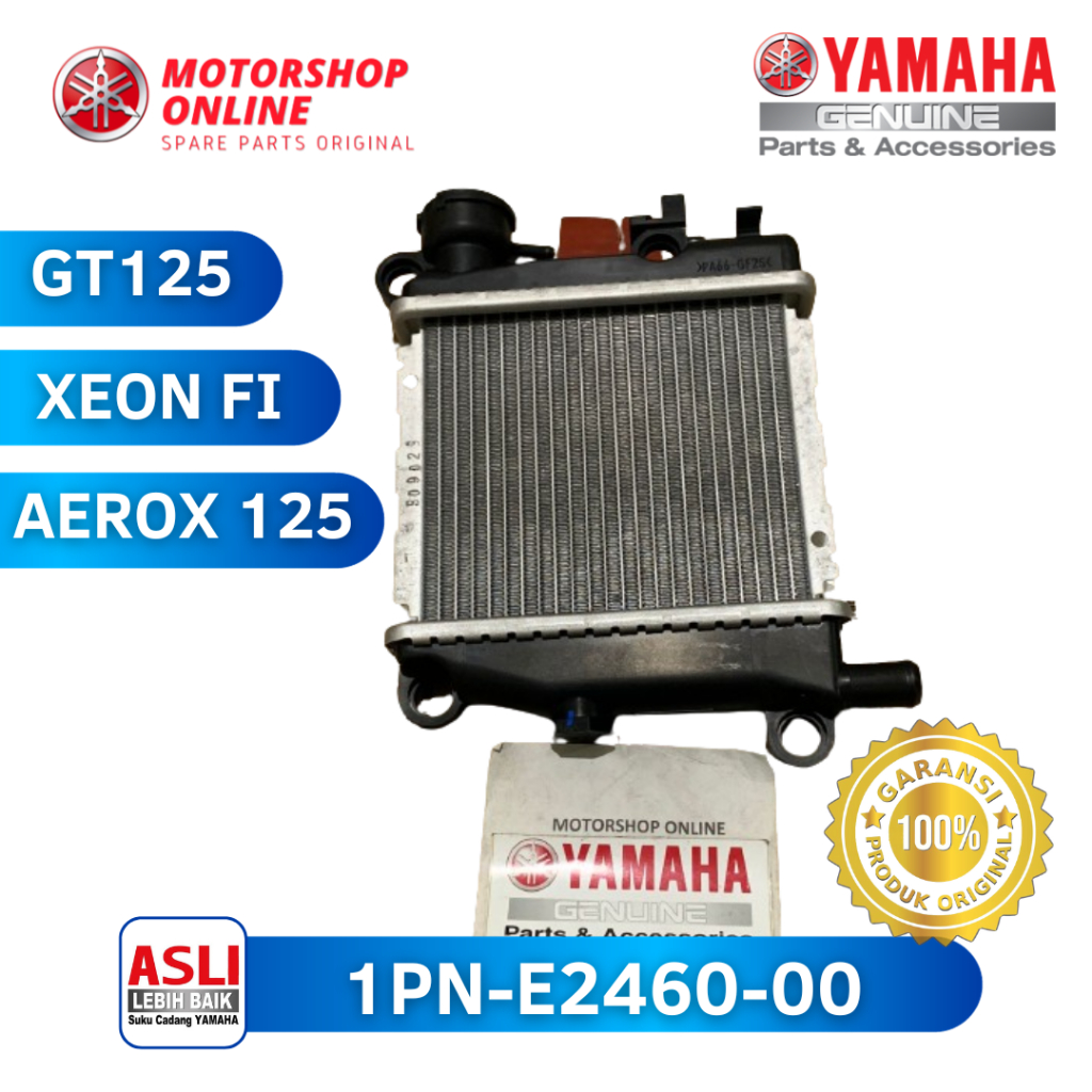 Radiator Xeon Rc GT125 Aerox125 Original Yamaha 1PN-E2460-00