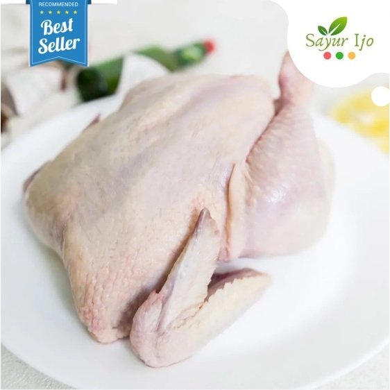 

Ayam Susu Utuh Pitik 0.8 - 0.9 KG / Ekor Fresh Frozen Chicken Daging Segar