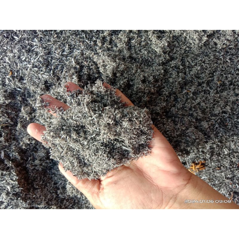 Abu gosok abu sekam pagi