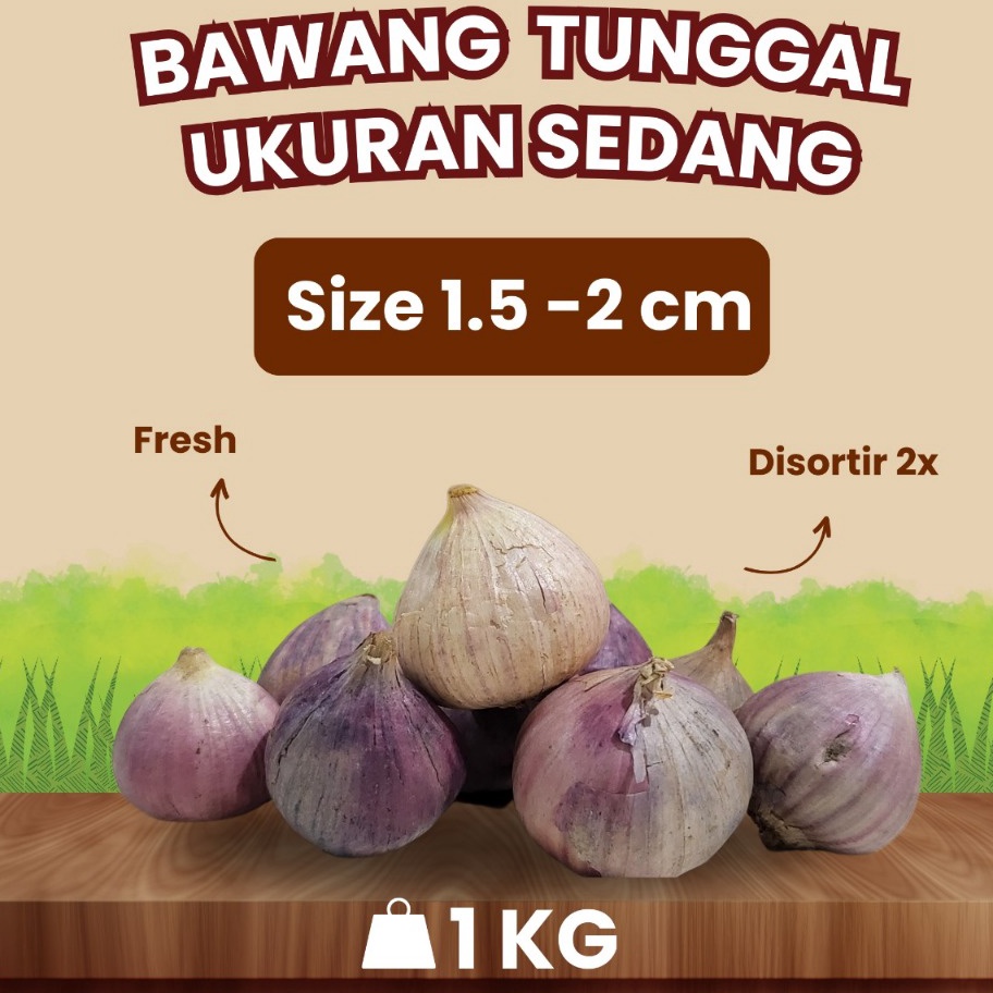

PKVV553 D2289 Bawang Putih Tunggal Lanang SEDANG 152 CM 1 KG