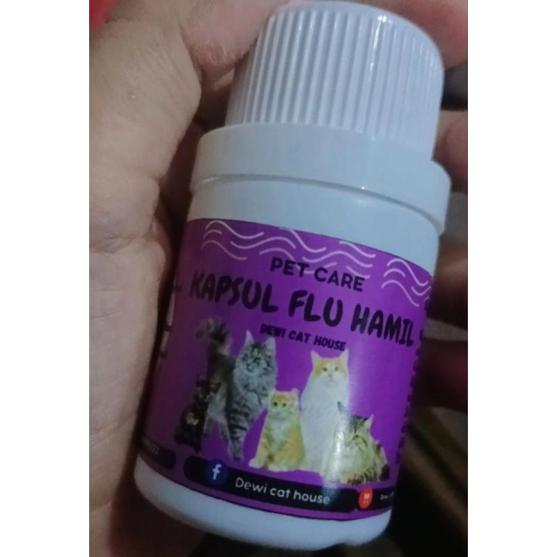 kapsul flu untuk kucing hamil dan menyusui