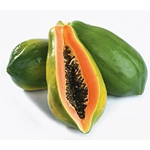 10 Biji Benih Buah Pepaya Bangkok