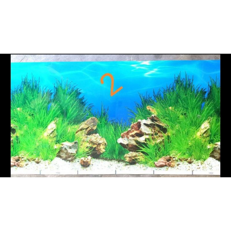 Background Aquarium tinggi 60 panjang 10 Cm Wallpaper Aquarium