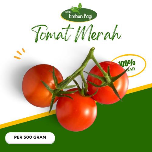 

Tomat Merah Segar 500 gr
