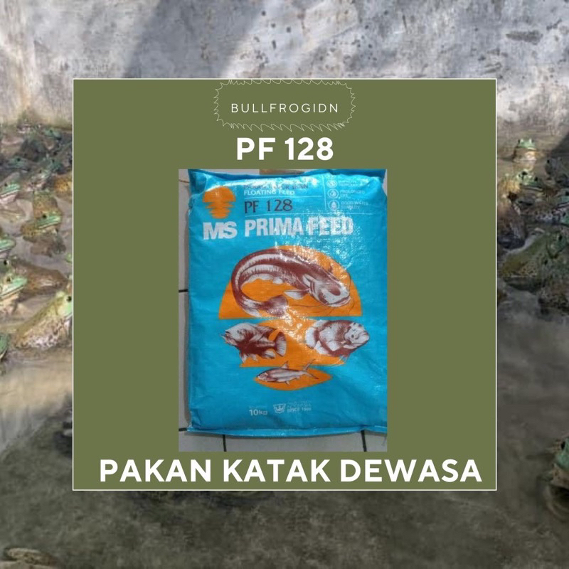 Pf 128 Pakan Induk