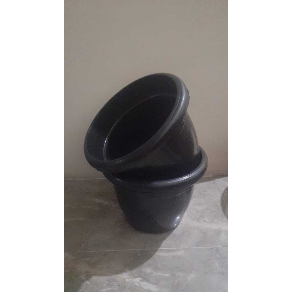 promo xtra pot bunga tanaman hias simba teratai /EGP/Garuda/global lion  40 cm kuping hitam / jual p