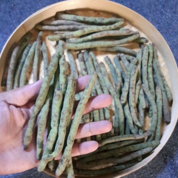 

HOT Buah Sirih asli Papua