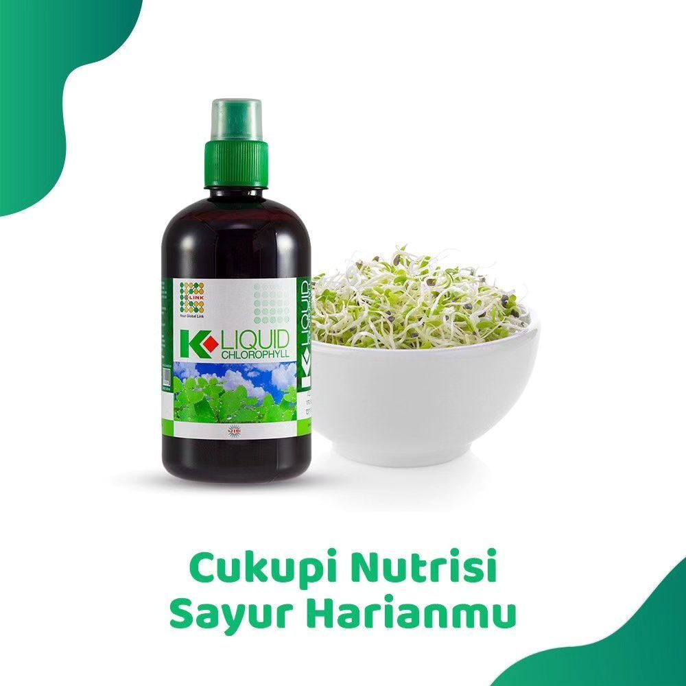 Chlorophyll K link Original Klorofil ASLI 100%