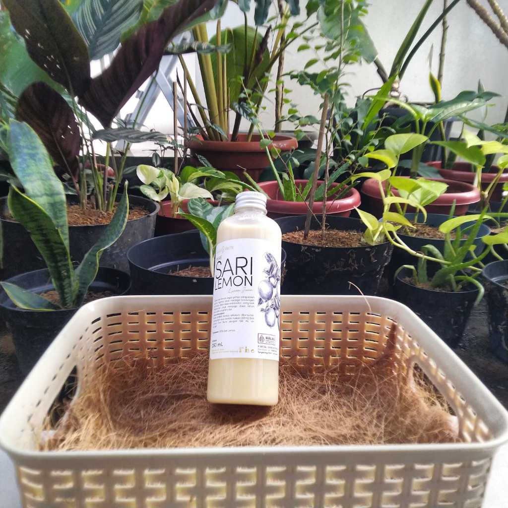 

Sari Lemon by Dari Bumi Minuman Sehat Untuk Diet 100% Alami dan Halal 250ml