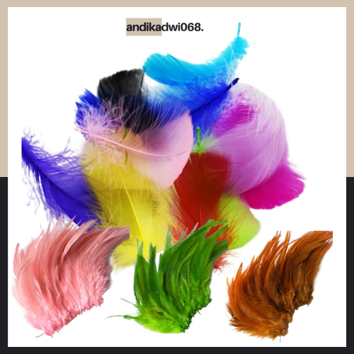 

[DIY MURAH] BULU AYAM ISI 50 BAHAN KERAJINAN / BULU AYAM HALUS UNTUK KERAJINAN DIY CRAFT / 50 Helai Paket Hemat Kerajinan Mainan Anak / Bahan Kerajinan Tugas Sekolah / BULU AYAM HALUS BULU ANGSA / BULU HEADBAND / BANDANA BULU AYAM