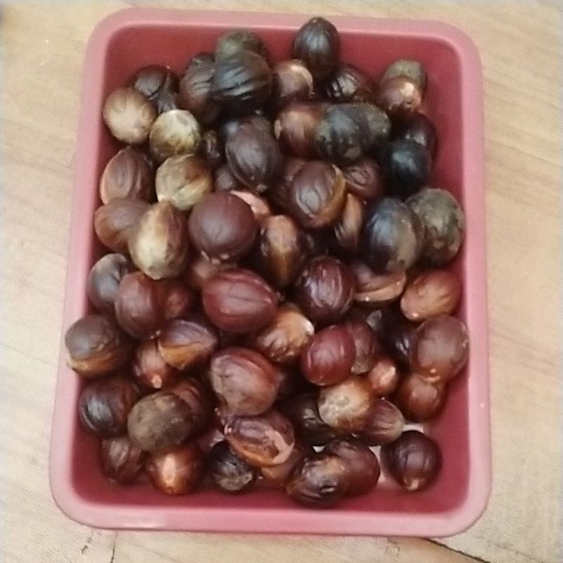 

bijipala tua kering/best quality 1kg
