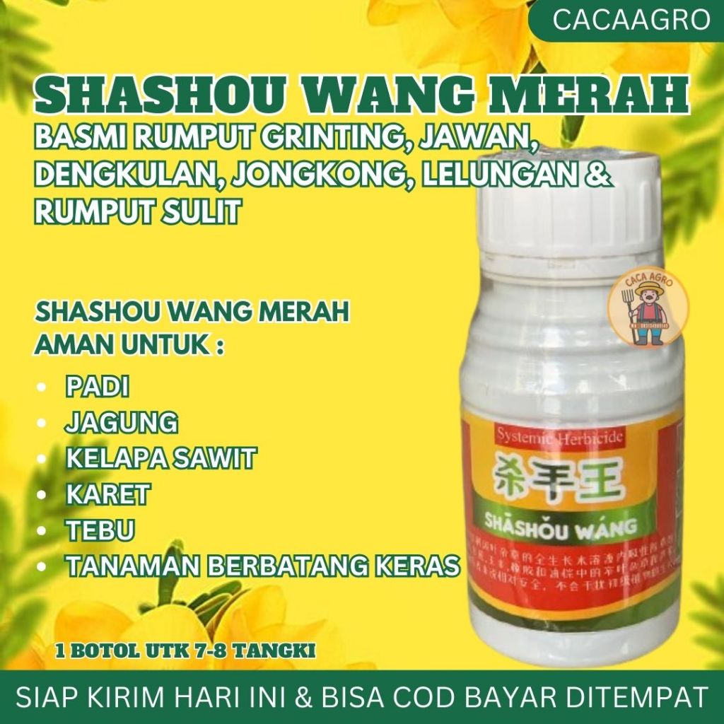 SHASHOUWANG / SHASHOU WANG MERAH Basmi Rumput Bandel Grinting Jawan Dengkulan Jongkong Lelungan dan 