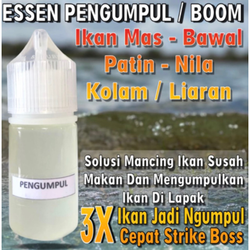 Super Premium Essen Pengumpul Ikan Di Lapak, Essen Pengumpul Ikan Mas, Essen Pengumpul Ikan Nila Lia