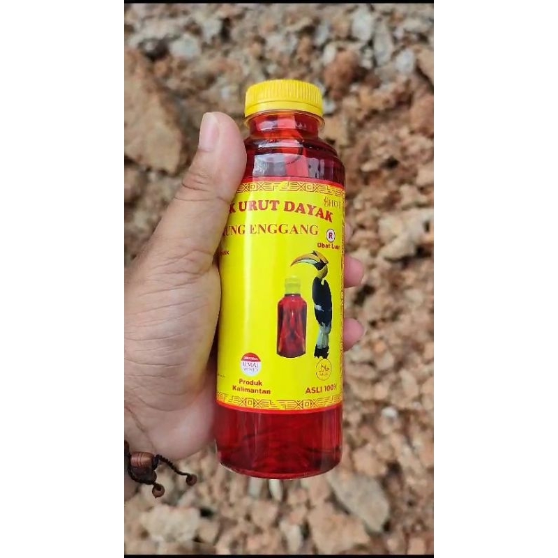 MINYAK URUT DAYAK EXTRA PANAS ASLI KALIMANTAN