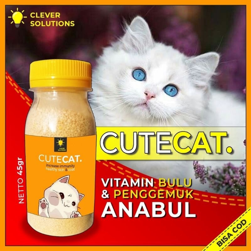 Cute cat vitamin bulu dan gemuk kucing