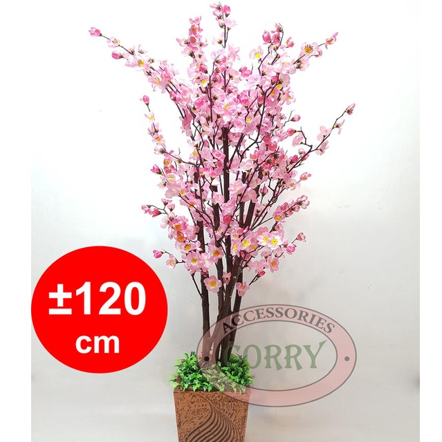 Pohon Kayu Sakura Meihwa Pink Merah Kuning Ungu 1.2 Meter Imlek