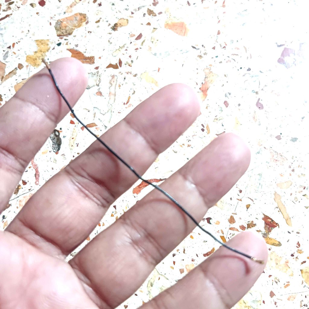 Kabel antena Coolpad R108 Original Connetor Antena Coolpad R108 Kabel Antena Coolpad Max Lite R108 K