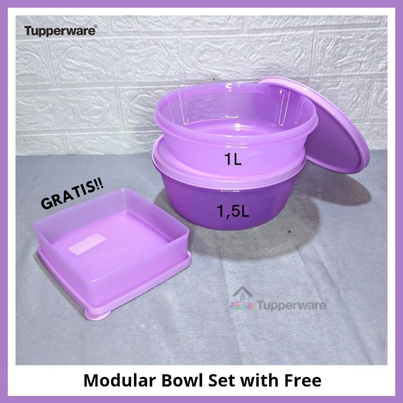 Modular Bowl Set with Free Tupperware