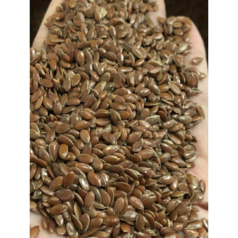 

Brown flaxseed 250gr / 100gr kwalitas bagus