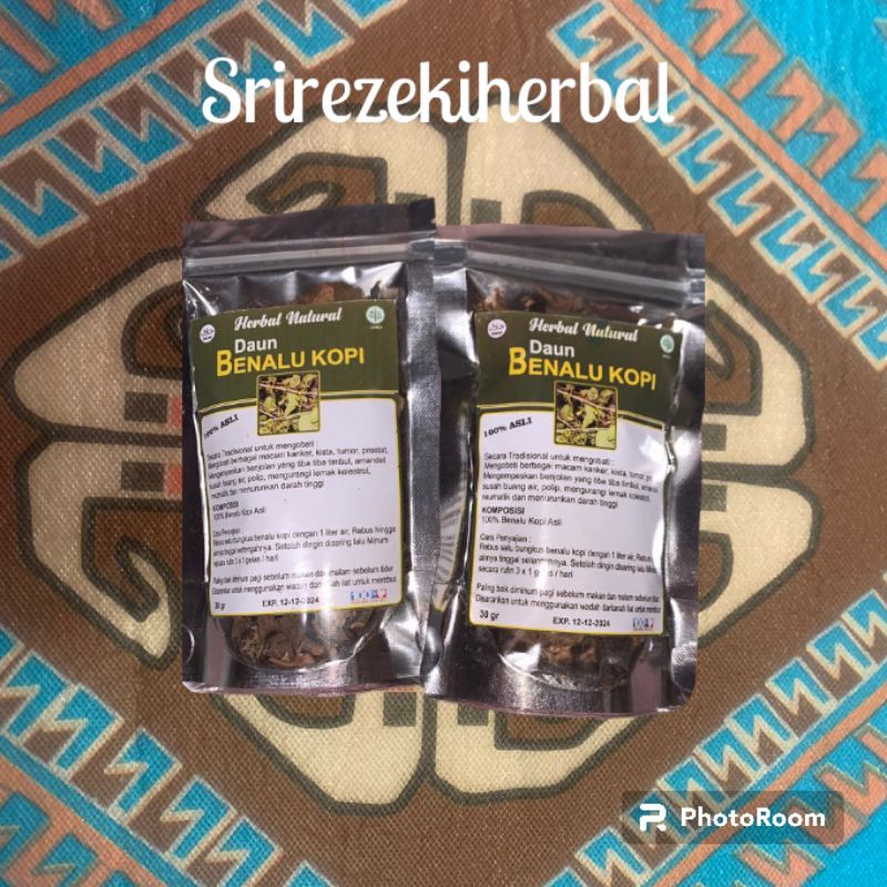 

benalu kopi kering