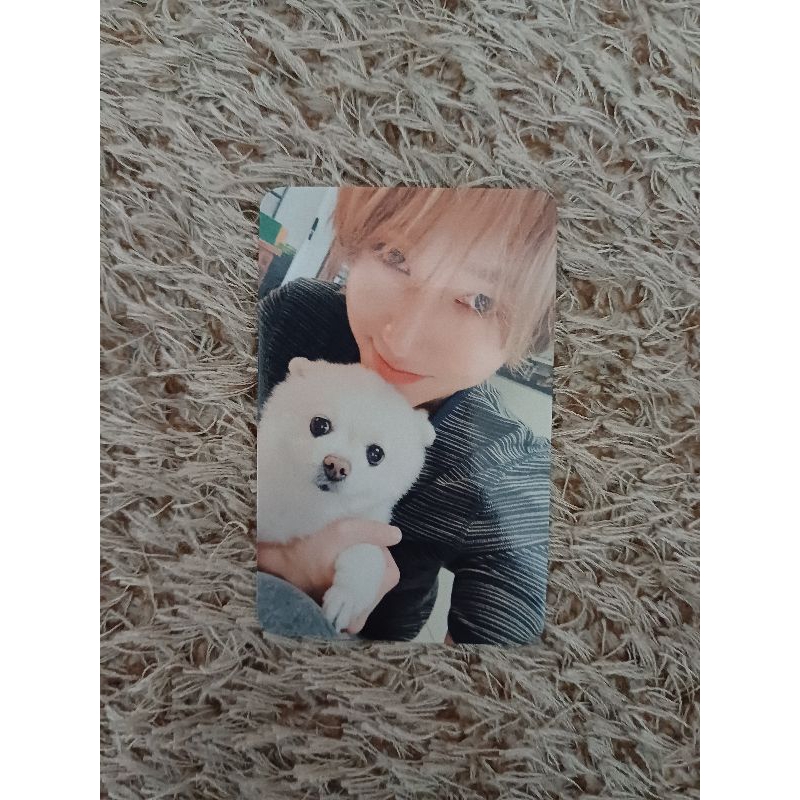 Yesung Unfading Sense Musicplant POB Bene photocard