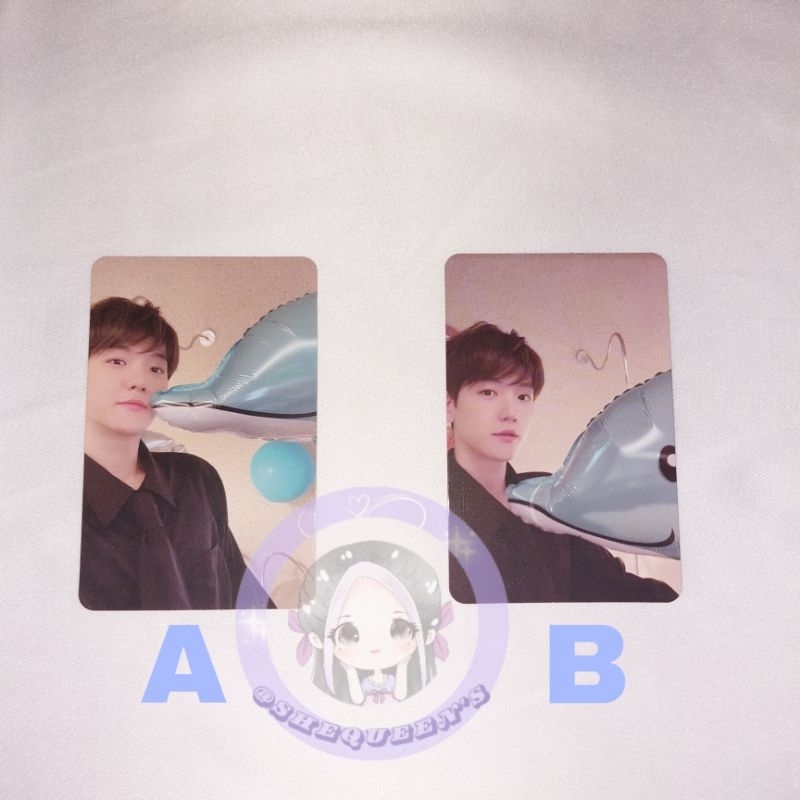 Photocard Official Baekhyun Bambi (Baekhyun Dolphins)