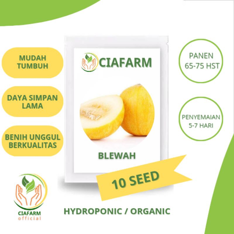 benih bibit blewah super manis