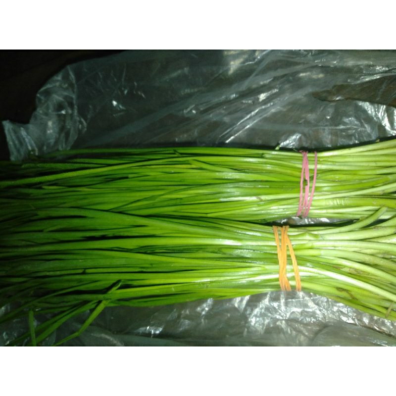 

SAYUR DAUN KUCAI SEGAR Per ikat