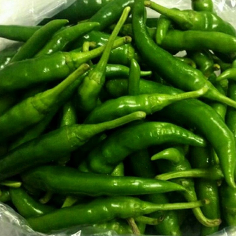 

PENJUALAN CEPATBEST SELLER Cabe Cabai Ijo Besar 5 gram