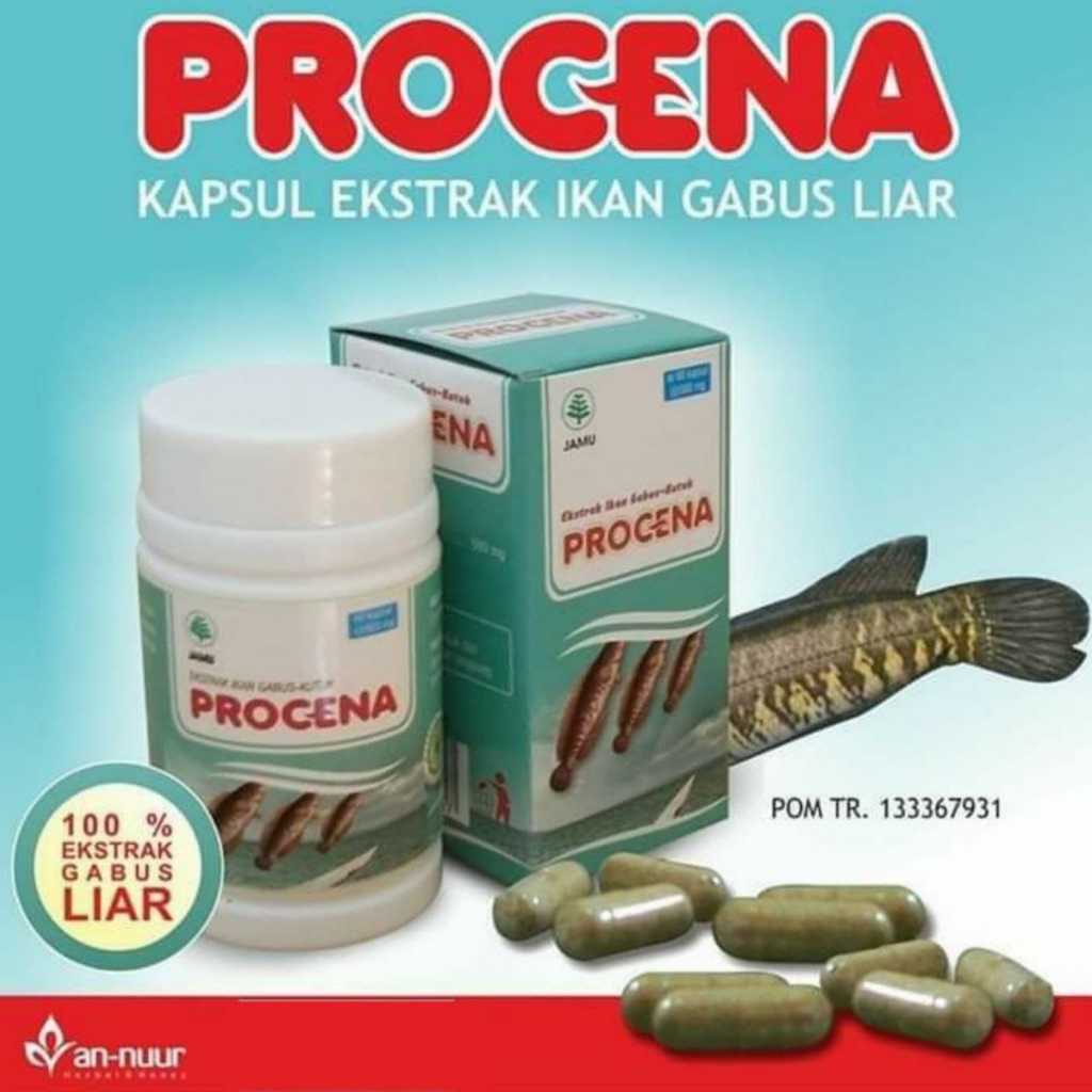Kapsul PROCENA Ekstrak Ikan Gabus Liar Obat Herbal Bagus Untuk Bekas Luka Alami Ampuh Original