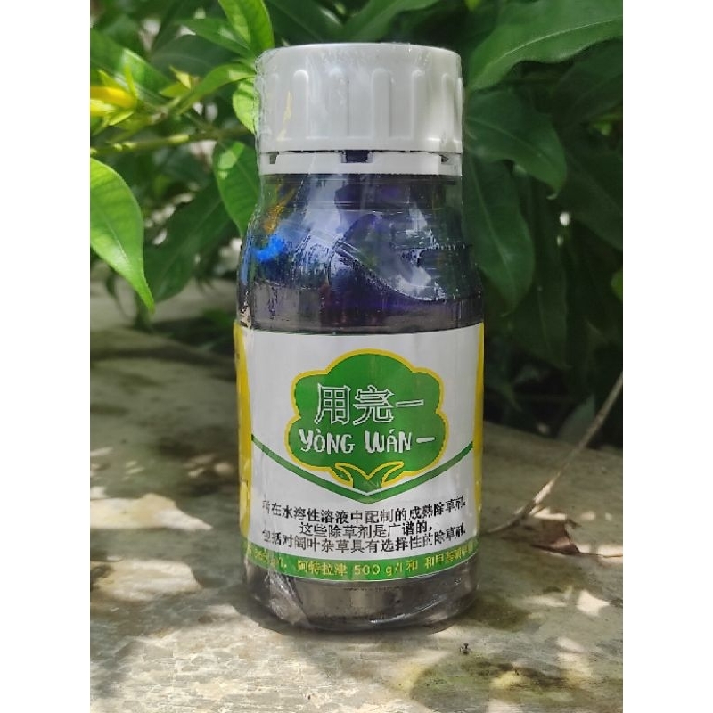 Yongwan herbisida sistemik selektif