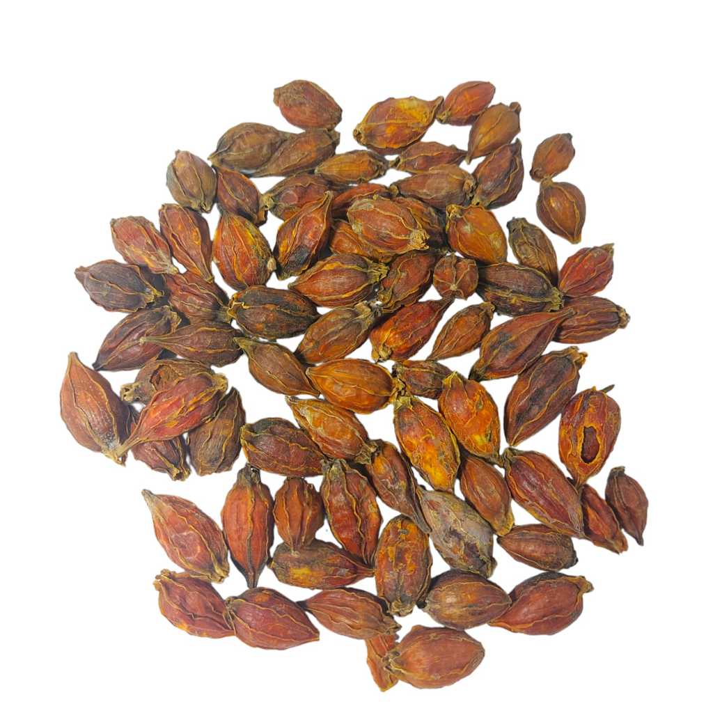 

San Zhi Zi 山枝子 Shan Zhi Zi / Shanzhizi - Fructus Gardenia Cape Jasmine Fruit 50-100 Gram