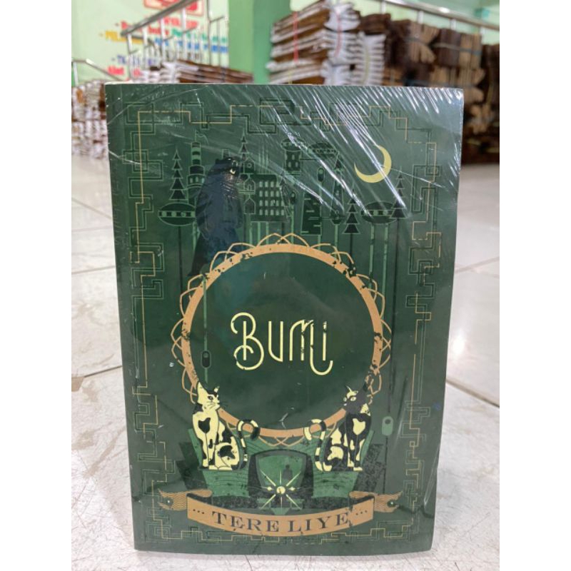 NOVEL BUMI - TERE LIYE