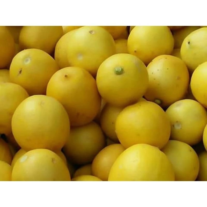 

jeruk lemon lokal 250 gram - KIRIM INSTAN