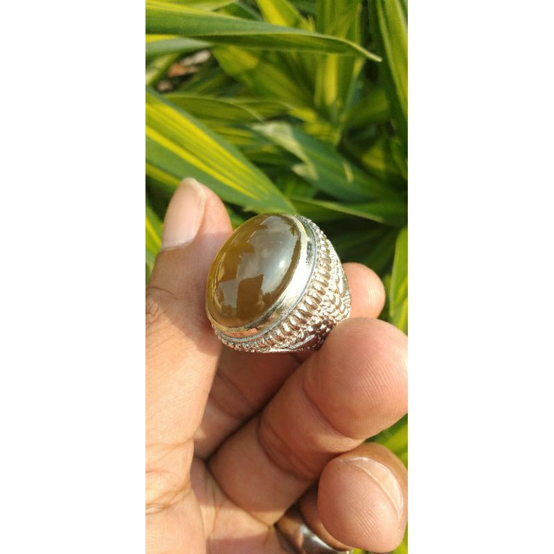 CINCIN SOLAR KECOA ACEH