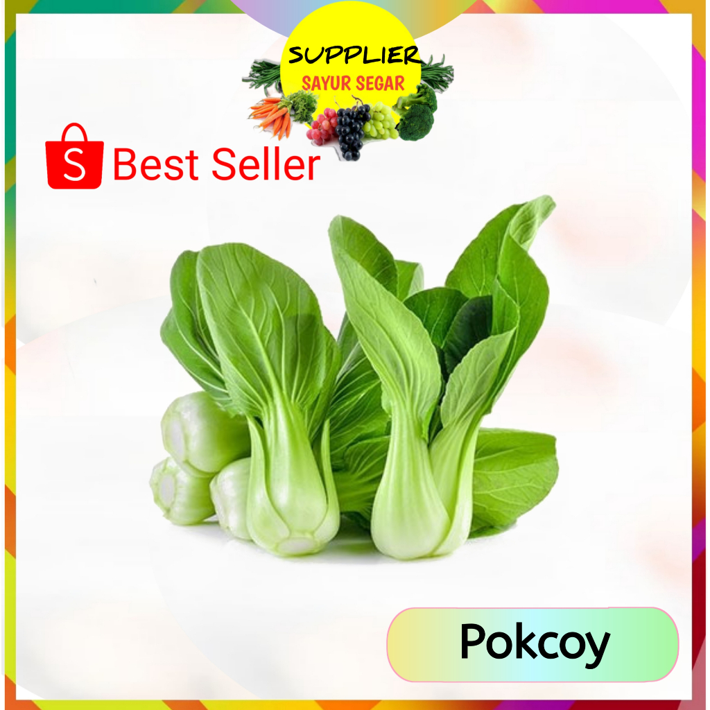 

Pokcoy Pakcoy Per Ikat - Supplier Sayur Sayuran Segar Palembang