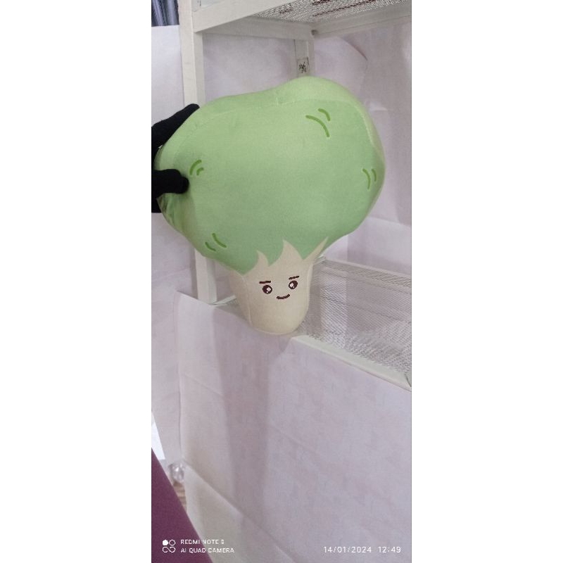 Brocoli/boneka brocoli