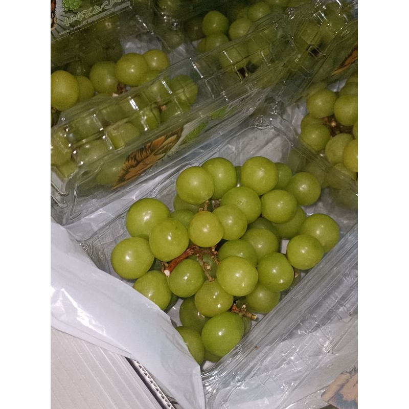 

Anggur Muscat Hijau 500gram