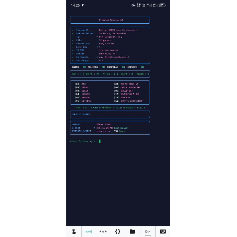SCRIPT VPS