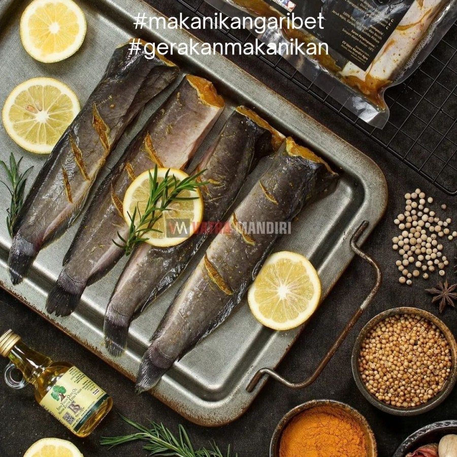 

LELE FROZEN ORGANIK BUMBU KUNING TANPA KEPALA ISI 4