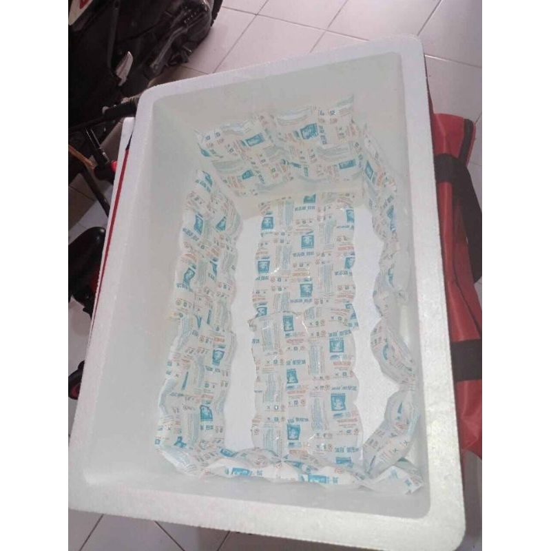 PAKET ICE BOX BESAR (TAS+BOX STYROFOAM+ICE GEL)