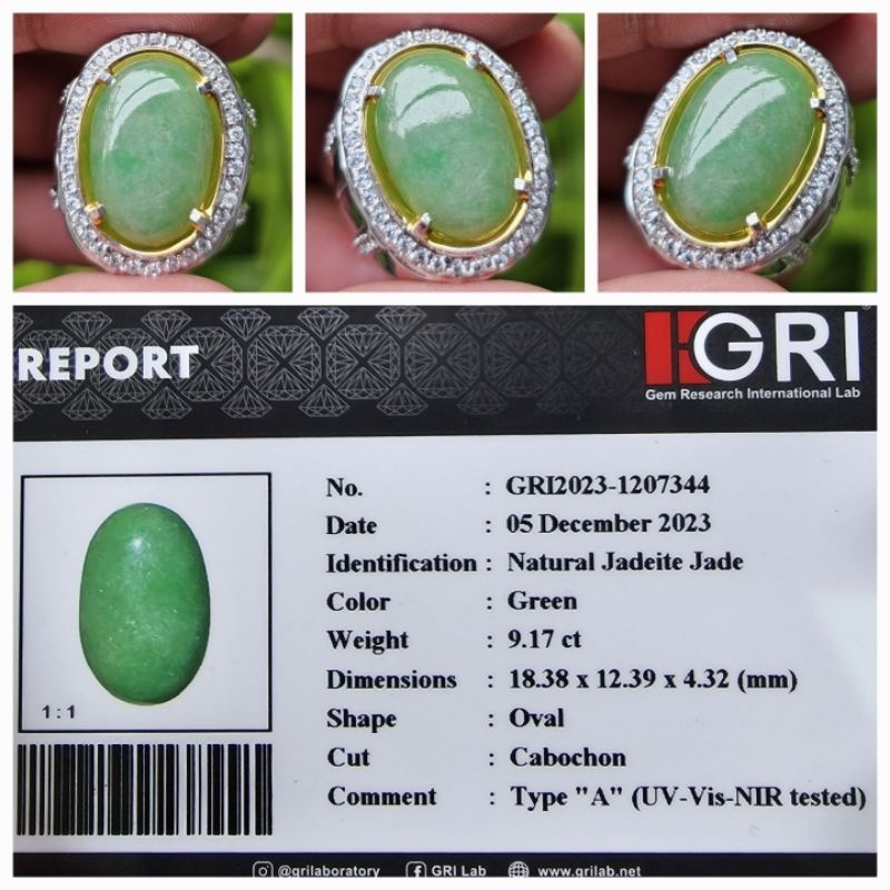 Natural Giok Burma Myanmar Jadeite Jade Type A Memo 9.17 crt