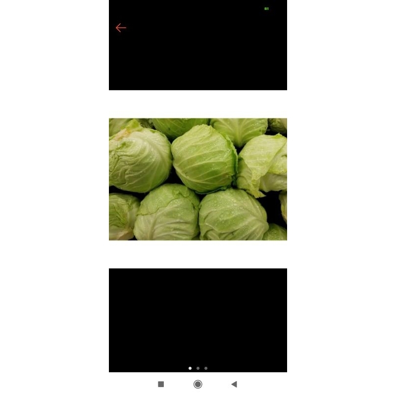 

koll fresh premium 1.kg