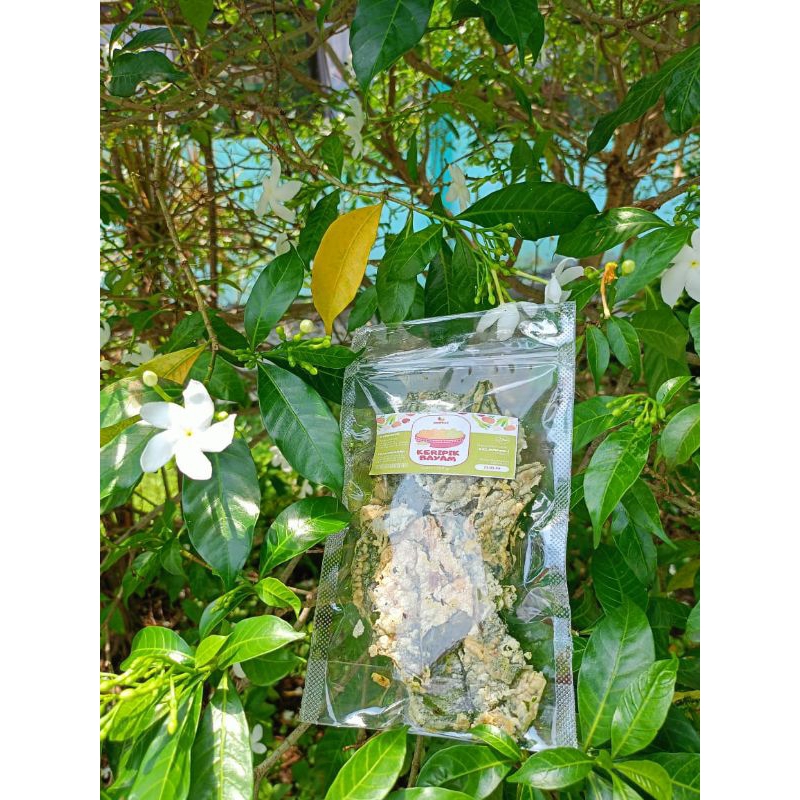 

keripik bayam