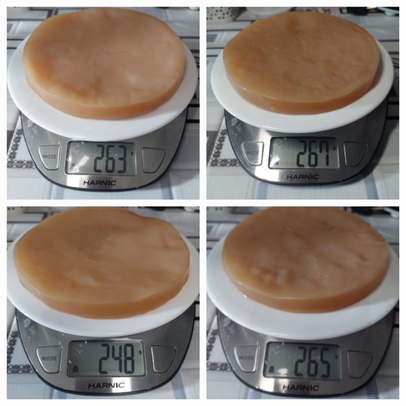 

Starter Kombucha 500ml + Scoby tebal 14cm